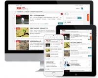 獨立站技術方案：WordPress三合一企業網站建設